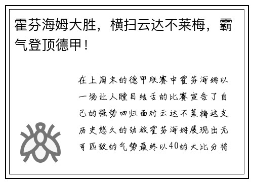 霍芬海姆大胜，横扫云达不莱梅，霸气登顶德甲！